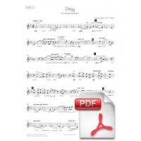 Elgar: Elegía op. 58 para Orquesta de Cuerdas (Partes) [PDF]