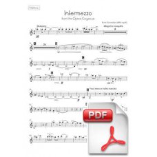 Granados: Intermezzo from the Opera Goyescas for Orchestra (Parts) [PDF] Preview PDF (Free download)
