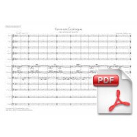 Pagès-Corella: Grotesque Variations for Cobla (Full Score) [PDF]