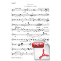 Puccini: Crisantemi per a Quartet de Corda o Orquestra de Corda (Parts) [PDF]