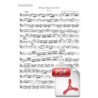 Saint-Saëns: Allegro Appassionato op. 43 for Violoncello and Orchestra (Solo Cello Part) [PDF]
