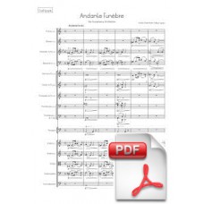 Svendsen: Andante Funèbre for Symphony Orchestra (Full Score) [PDF] Preview PDF (Free download)