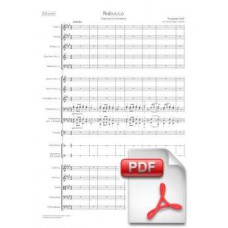 Verdi: Nabucco, Overture for Orchestra (Full Score) [PDF] Preview PDF (Free download)